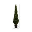 Vickerman 7' Contemporary Plastic Artificial Potted Cedar Tree with LED in Green