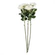 Vickerman 27