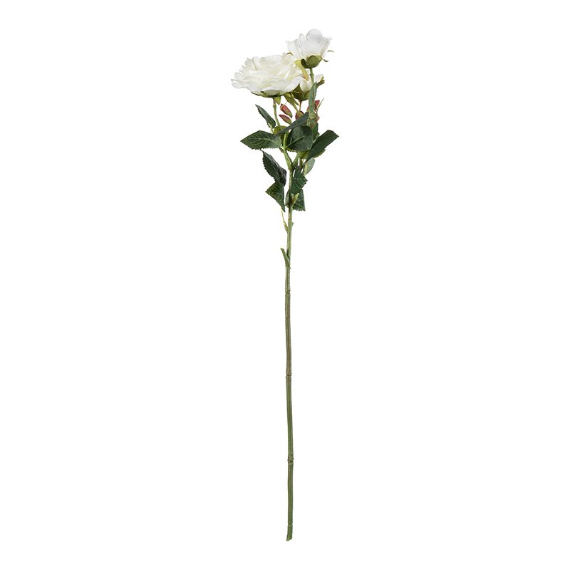 Vickerman 27