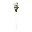 Vickerman 27