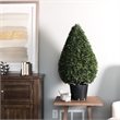 Vickerman 19