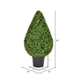 Vickerman 19