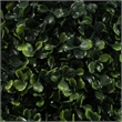 Vickerman 5' Contemporary Plastic Potted Artificial Boxwood Cone in Green
