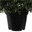 Vickerman 5' Contemporary Plastic Potted Artificial Boxwood Cone in Green