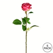 Vickerman 26