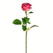 Vickerman 26