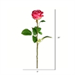 Vickerman 26