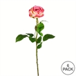 Vickerman 26