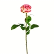 Vickerman 26