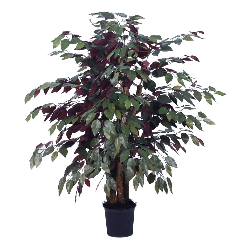 Vickerman 4' Artificial Capensia Extra Full Bush with Black Pot in Green/Red