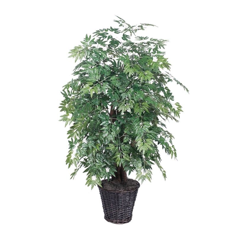 Vickerman 4' Artificial Ming Aralia Extra Full Bush with Basket in Dark Green