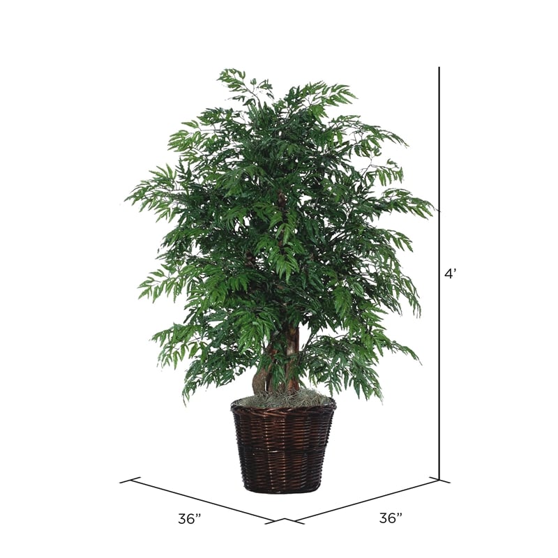 Vickerman 4' Artificial Ming Aralia Extra Full Bush with Basket in Dark Green