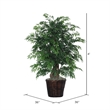 Vickerman 4' Artificial Ming Aralia Extra Full Bush with Basket in Dark Green