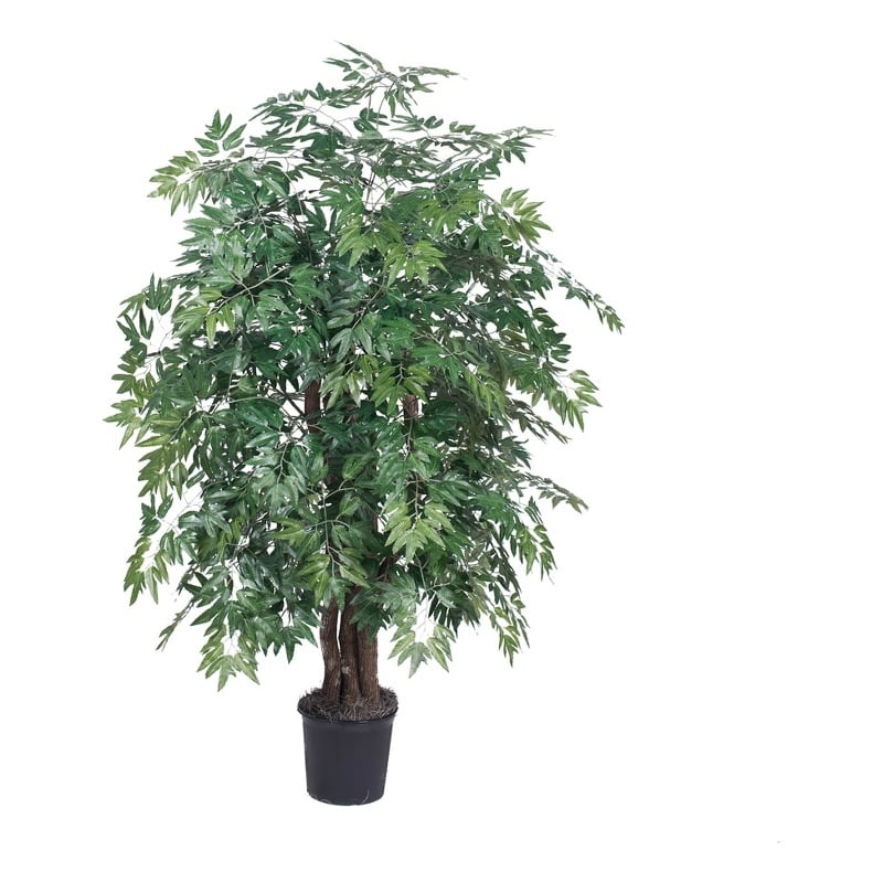 Vickerman 4' Artificial Ming Aralia Extra Full Bush with Black Pot in Dark Green