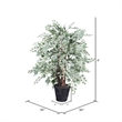 Vickerman 4' Artificial Maple Extra Full Bush with Basket in Green/Silver