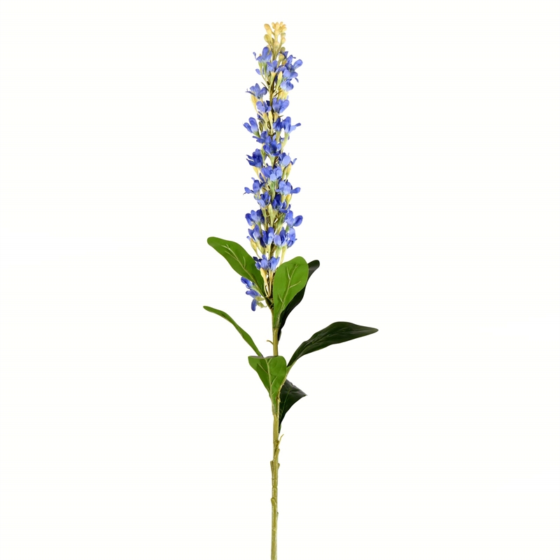 Vickerman 37