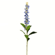 Vickerman 37