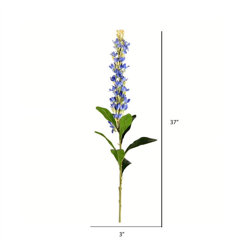 Vickerman 37