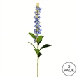 Vickerman 37