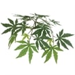 Vickerman 4' Artificial Japanese Maple Bush with Black Pot in Green
