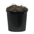 Vickerman 4' Artificial Mango Extra Full Bush with Black Pot in Green