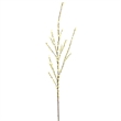 Vickerman 44