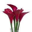 Vickerman 24