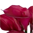 Vickerman 24