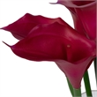 Vickerman 24