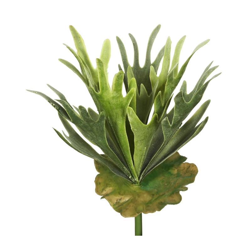 Vickerman 13