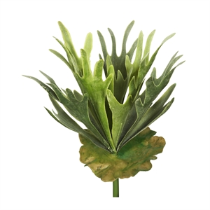 Vickerman 13&quot Plastic Artificial Staghorn Fern Bush in Frosted Green