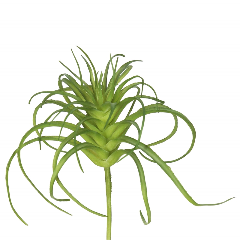 Vickerman 5