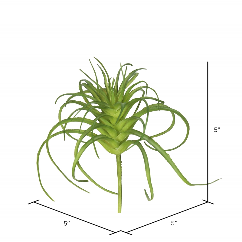 Vickerman 5