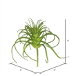 Vickerman 5