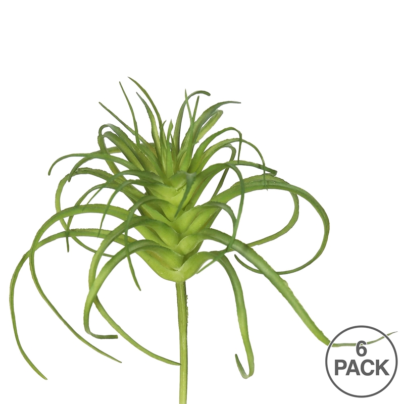 Vickerman 5