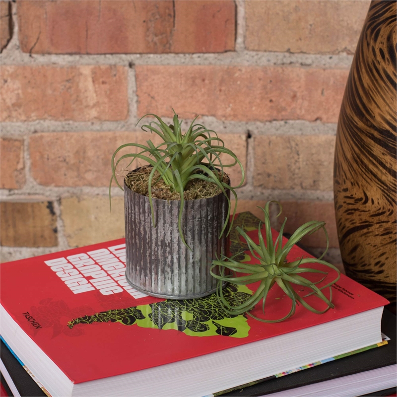 Vickerman 5