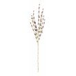 Vickerman 38