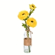 Vickerman 15
