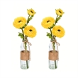 Vickerman 15