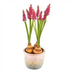 Vickerman 10&quot Fabric Artificial Hyacinths with Container in Purple (Set of 2)