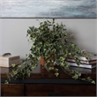 Vickerman 26