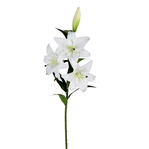 Vickerman 36'' Artificial Real Touch Lily Spray in White (Set of 2)