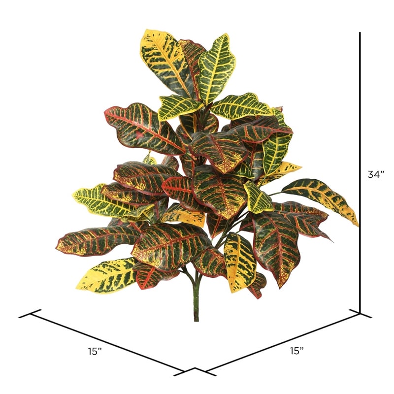 Vickerman 34
