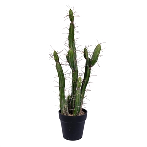 Vickerman 24&quot Contemporary Plastic Artificial Cactus with Black Pot in Green