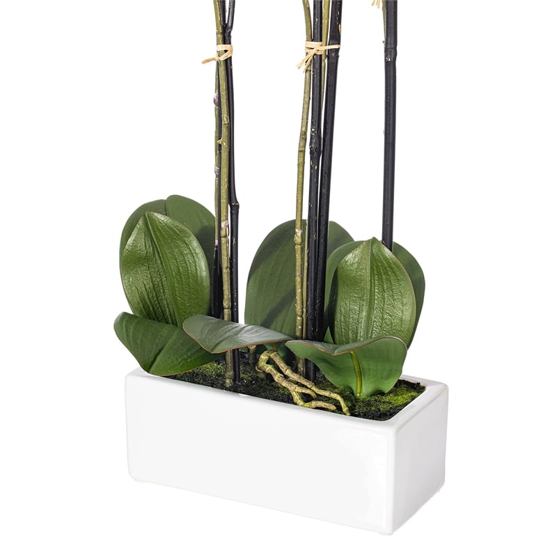 Vickerman 21