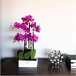 Vickerman 21