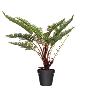 Vickerman 20&quot Plastic Artificial Fern with Round Black Pot in Green