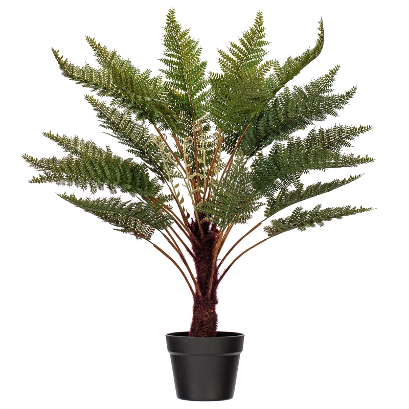 Vickerman 30