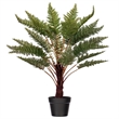 Vickerman 30