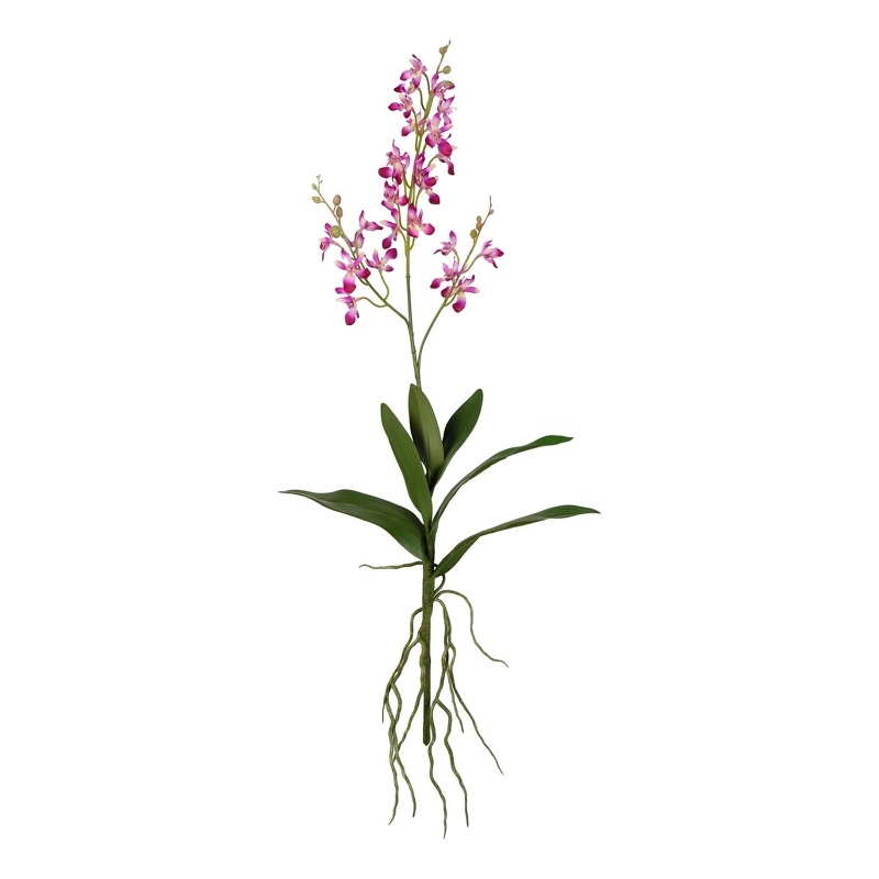 Vickerman 30.5